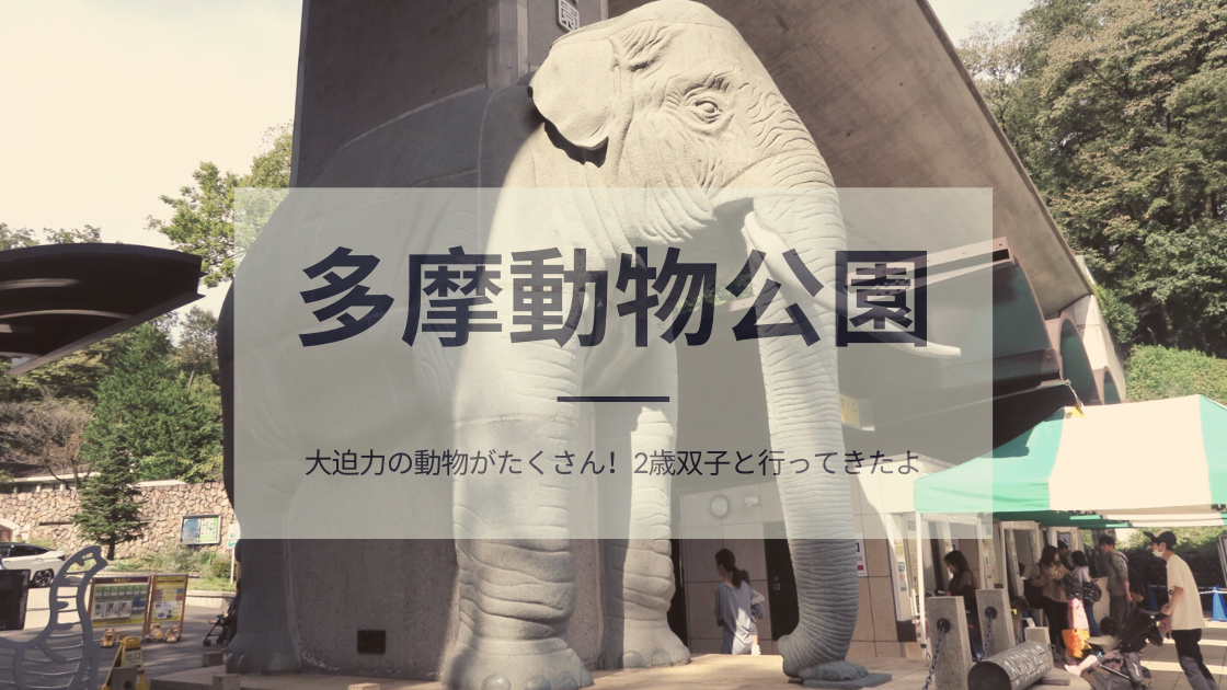 多摩動物公園に2歳の双子と行ってきたよ | ライオン・アフリカゾウ・キリンなど