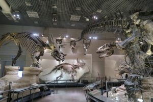 国立科学博物館　恐竜