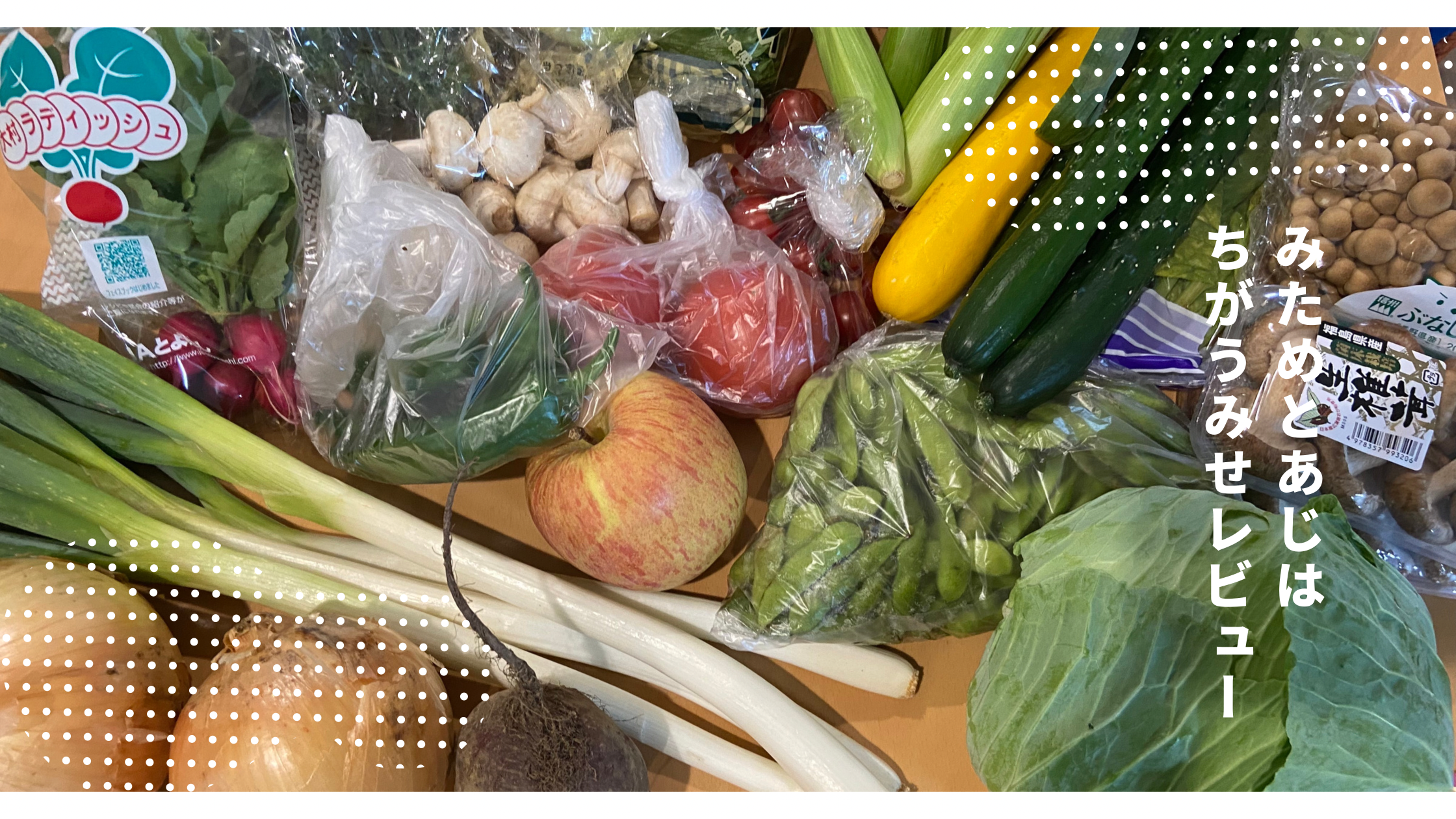 【大田市場】みためとあじはちがう店を試してみました