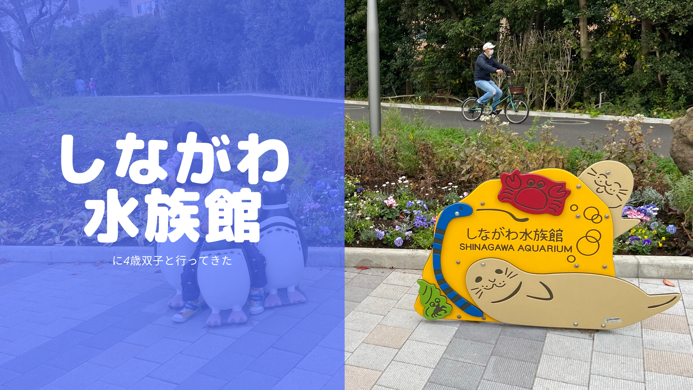 【2021年11月】しながわ水族館に行ってきました【コロナ禍】