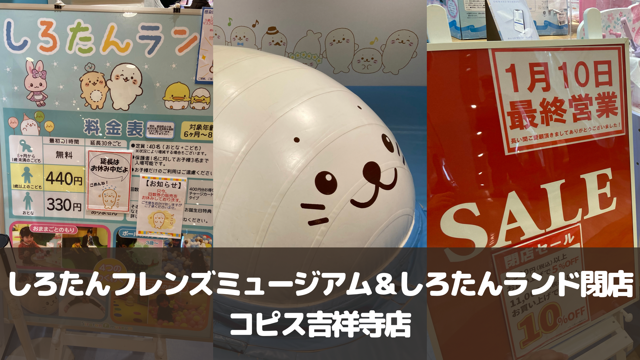 【閉店】しろたんランドコピス吉祥寺店が2022年1月10日に閉園決定